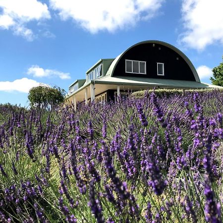 Riverhead Lavender Hill B&B 외부 사진