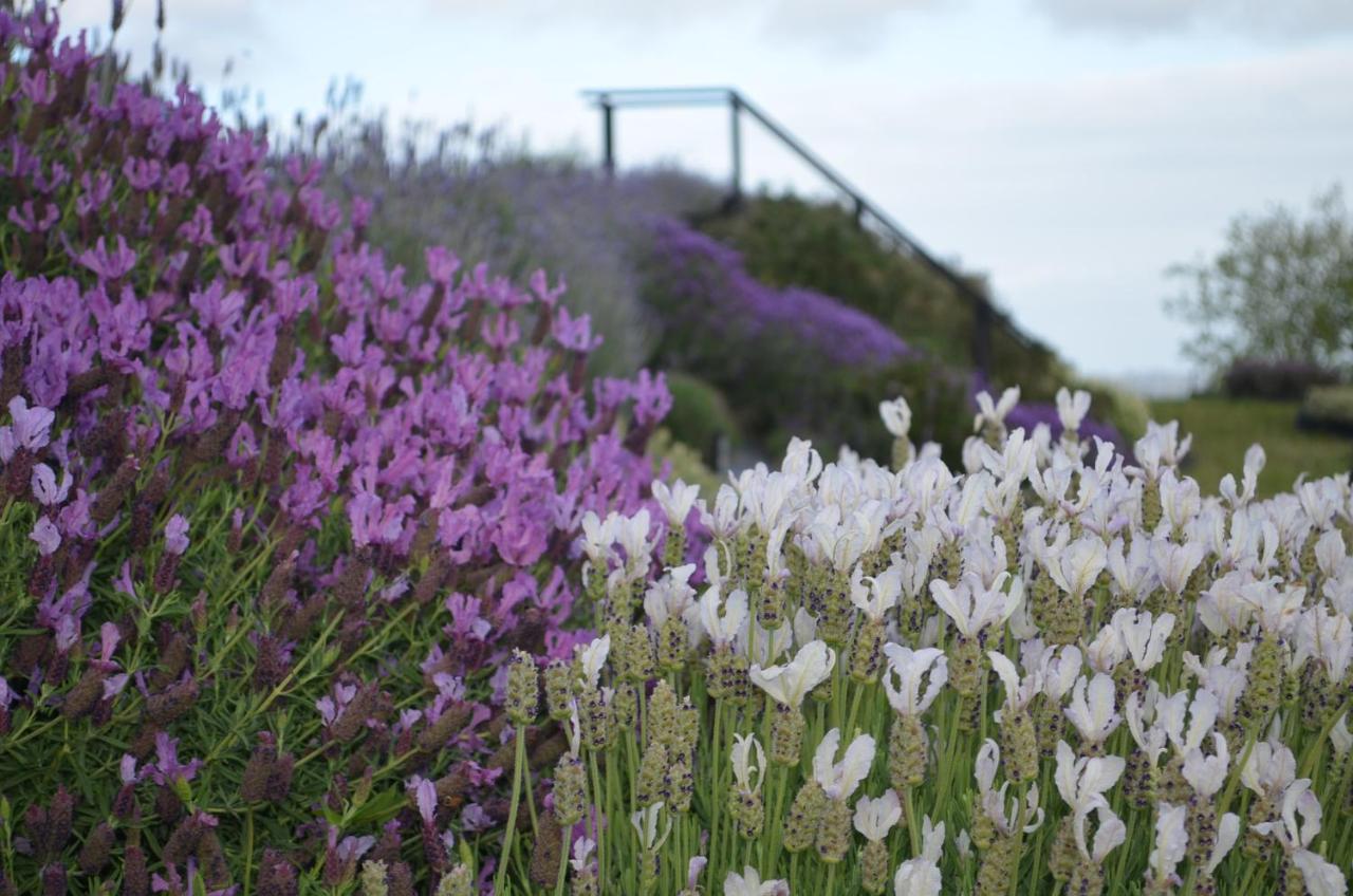 Riverhead Lavender Hill B&B 외부 사진