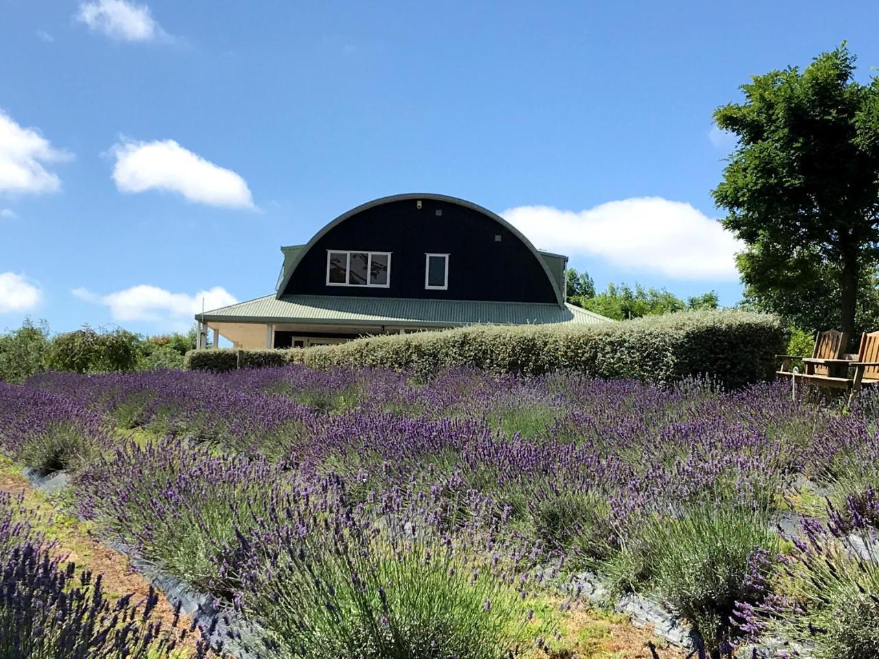 Riverhead Lavender Hill B&B 외부 사진